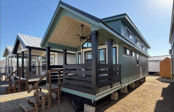 photo_2026-01-17 03.52.47