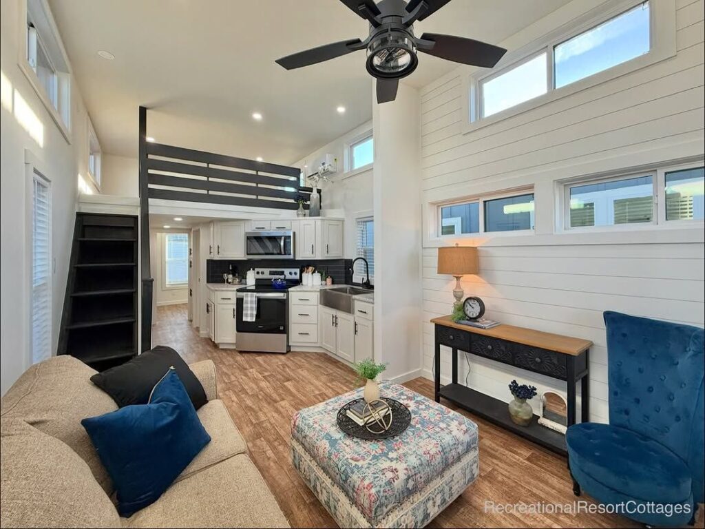 photo_2026-01-17 03.52.50